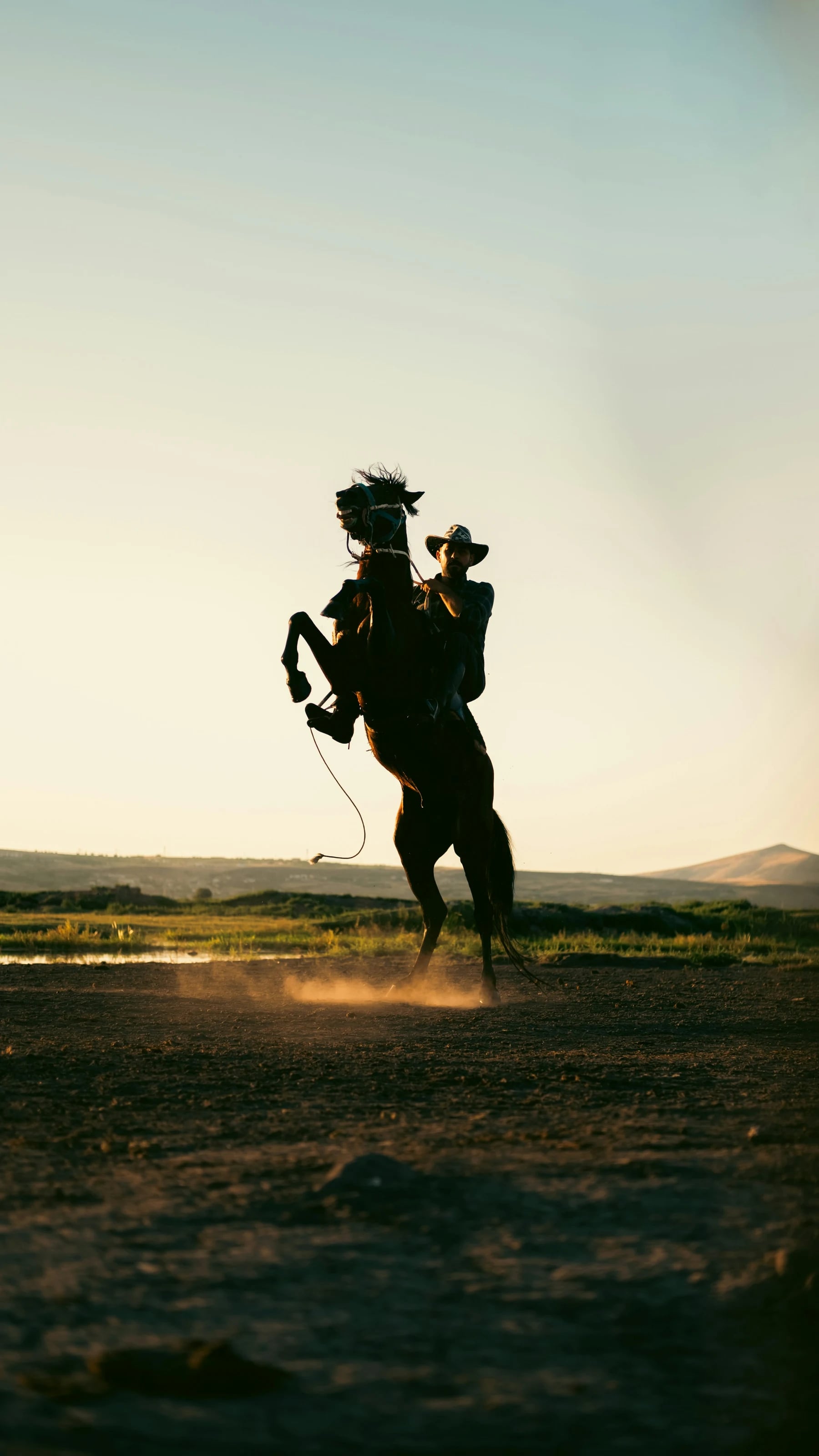 Cowboy on a rearing horse at sunset